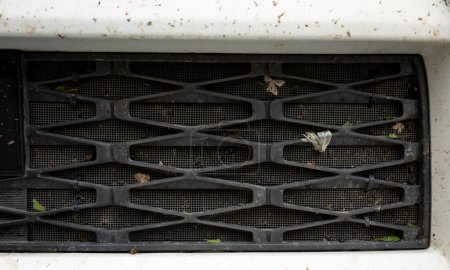 Foto de Errores y moscas se estrellaron y se pegaron en la rejilla del radiador del coche - Imagen libre de derechos