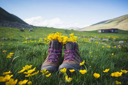 Téléchargez les photos : Bottes de randonnée avec des fleurs sauvages jaunes dans l'herbe - en image libre de droit