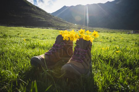 Foto de Botas de senderismo con flores silvestres amarillas en hierba - Imagen libre de derechos