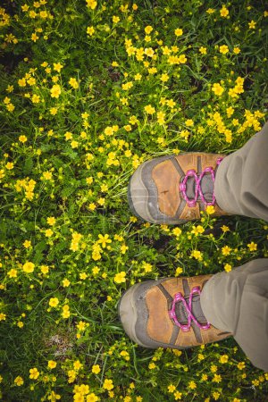Foto de Mujer excursionista de pie en los pastizales florecientes de gran altitud de verano - Imagen libre de derechos