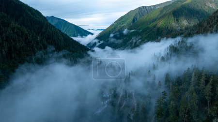 Foto de Hermoso paisaje forestal en Sichuan, China - Imagen libre de derechos