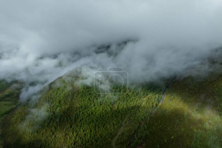 Téléchargez les photos : Beau paysage forestier levant au Sichuan, en Chine - en image libre de droit