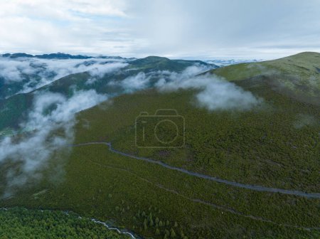 Photo for Beautiful sunrise forest landscape in Sichuan, China - Royalty Free Image
