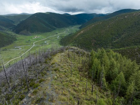 Téléchargez les photos : Vue aérienne de la forêt de pins brûlés par la foudre a causé un incendie paysage dans le Sichuan, en Chine - en image libre de droit