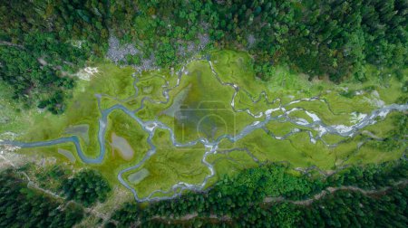 Téléchargez les photos : Beau paysage de zones humides forestières au Sichuan, Chine - en image libre de droit