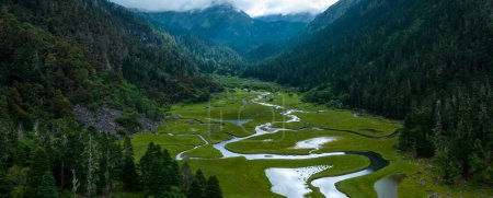 Téléchargez les photos : Beau paysage de zones humides forestières au Sichuan, Chine - en image libre de droit
