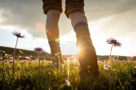Foto de Mujer senderista piernas caminando en hermosos pastizales florecientes - Imagen libre de derechos