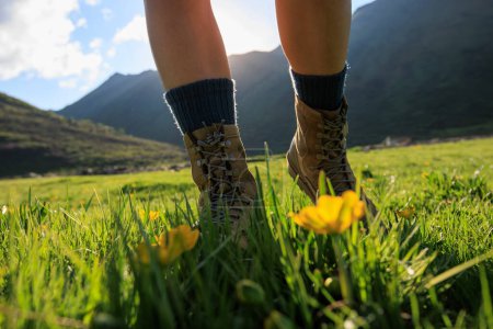 Photo for Woman hiker walking on trail in grassland - Royalty Free Image