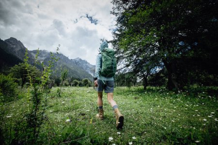 Téléchargez les photos : Randonneuse pédestre en forêt - en image libre de droit