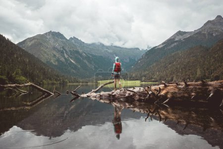 Téléchargez les photos : Femme de randonnée sur un pont à une planche dans les montagnes de haute altitude - en image libre de droit