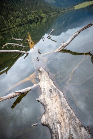 Téléchargez les photos : Un pont de planche dans le lac de haute altitude - en image libre de droit