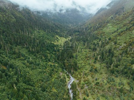 Téléchargez les photos : Beau paysage de montagne de forêt d'été dans le Sichuan, Chine - en image libre de droit