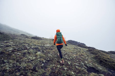 Foto de Mujer senderista en la cima de la montaña de gran altitud - Imagen libre de derechos