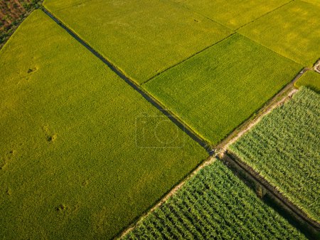 Foto de Vista aérea de los campos en el campo - Imagen libre de derechos