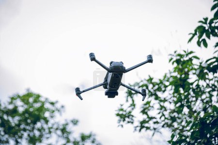 Téléchargez les photos : Flying drone in summer forest - en image libre de droit