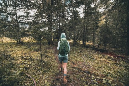 Foto de Senderismo mujer caminando en bosque de gran altitud - Imagen libre de derechos