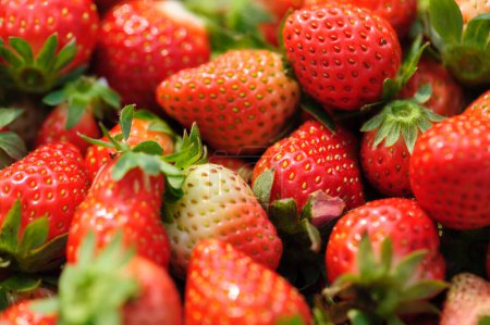 Téléchargez les photos : Beaucoup de fraises rouges fraîches - en image libre de droit