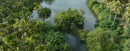 Téléchargez les photos : Beau paysage dans forst tropical - en image libre de droit