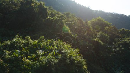 Foto de Vista aérea del paisaje de bosque tropical - Imagen libre de derechos