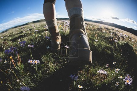 Foto de Caminante piernas caminando hermoso pastizales florecientes - Imagen libre de derechos