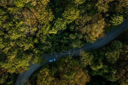 Foto de Vista aérea del sendero en el bosque tropical de primavera - Imagen libre de derechos