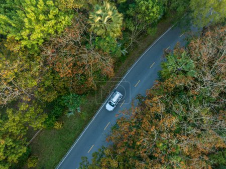 Téléchargez les photos : Vue aérienne de la conduite sur piste en forêt tropicale printanière - en image libre de droit