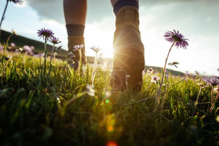 Woman hiker legs walking beautiful flowering grassland