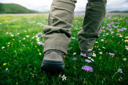 Hiking on flowering high altitude grassland