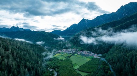 Téléchargez les photos : Beau paysage de village de montagne forêt de haute altitude dans le brouillard - en image libre de droit