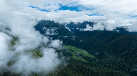 Foto de Hermoso paisaje de montaña de bosque de gran altitud en la niebla - Imagen libre de derechos