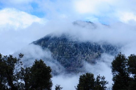 Foto de Hermoso paisaje de montaña de bosque de gran altitud en el Tíbet, China - Imagen libre de derechos