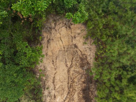 Luftaufnahme von Erdrutsch Wald Berglandschaft