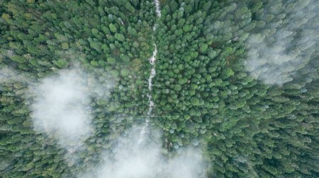 Aerial footage of beautiful high altitude forest mountain landscape