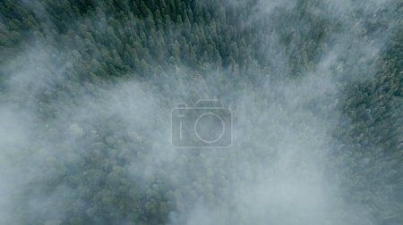Foto de Imágenes aéreas del hermoso paisaje montañoso del bosque de gran altitud - Imagen libre de derechos
