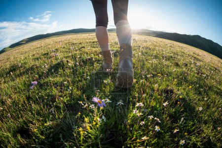 Foto de Mujer senderista piernas caminando hermoso florecimiento pastizales - Imagen libre de derechos