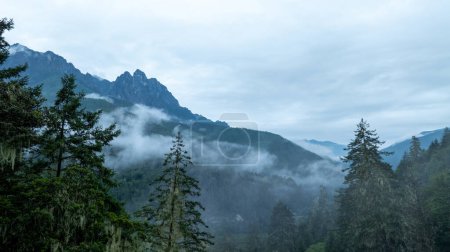 Foto de Hermoso paisaje de montaña de bosque brumoso de gran altitud - Imagen libre de derechos