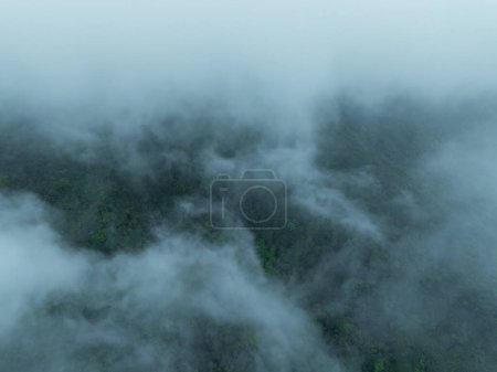 Luftaufnahme der schönen Wald-Berglandschaft