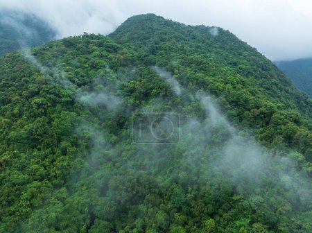Luftaufnahme der schönen Wald-Berglandschaft