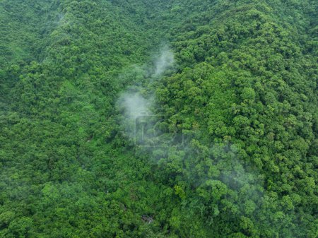 Téléchargez les photos : Vue aérienne du beau paysage de montagne de forêt de haute altitude - en image libre de droit