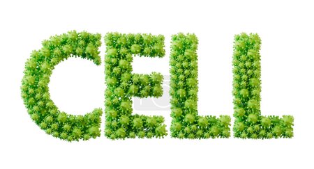 Foto de Palabra celular hecha de fuente de molécula de célula de bacteria verde. Salud y bienestar. Renderizado 3D. - Imagen libre de derechos