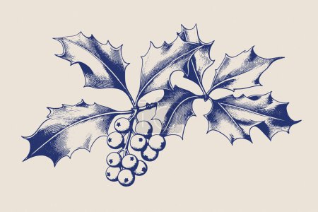 Illustration for Vintage style illustration of a christmas festive holly branch. - Royalty Free Image