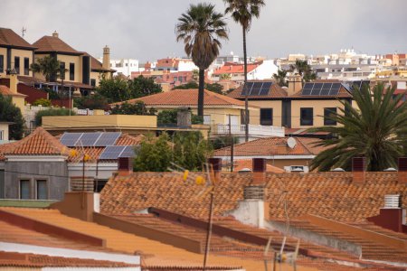 Foto de Paneles solares sobre tejados de tejas rojas de casas unifamiliares en un pueblo. Palmeras y árboles en el fondo. Tenerife, Islas Canarias, España - Imagen libre de derechos