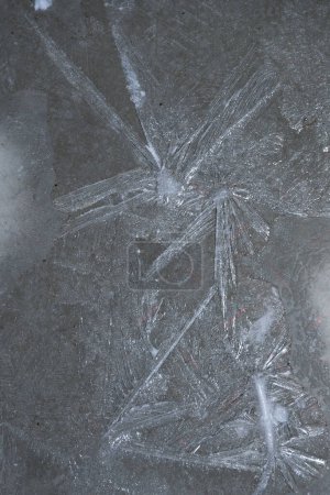 Photo for Frost flower pattern - frosty and bitterly cold, winter and cold - Royalty Free Image