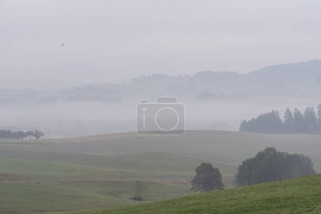 Photo for Cloudy and foggy autumn weather - autumn landscape and fog - Royalty Free Image