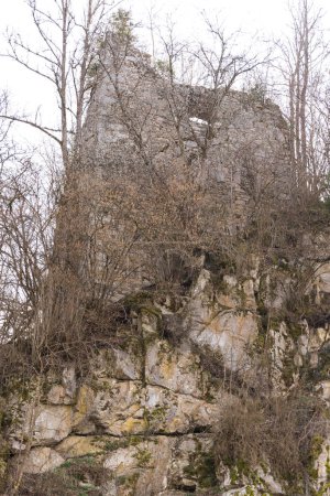 Photo for Puernstein Castle, ruin and cultural asset in Neufelden, Austria - Royalty Free Image
