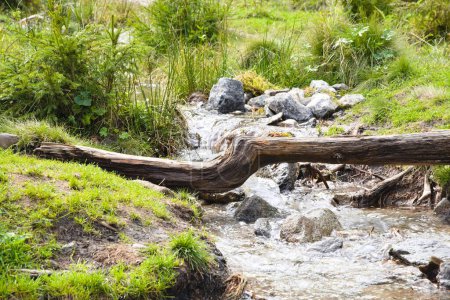 Foto de Arroyo de flujo libre con un lecho de agua pedregoso y un tronco de árbol que yace sobre él - Imagen libre de derechos