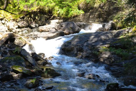 Téléchargez les photos : Torrent de spectacle naturel - ruisseau coulant librement, Autriche - en image libre de droit