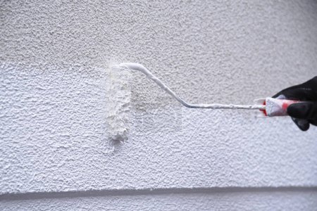 Painter painting wall with paint and paint roller - skilled trade