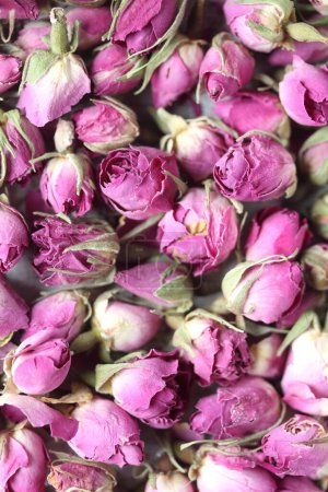 Photo for Dried rose buds ,whole dried pink  rose buds - Royalty Free Image