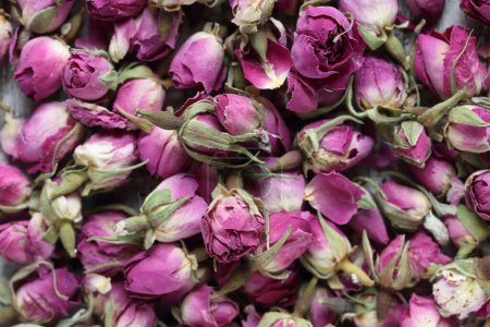 Photo for Dried rose buds ,whole dried pink  rose buds - Royalty Free Image
